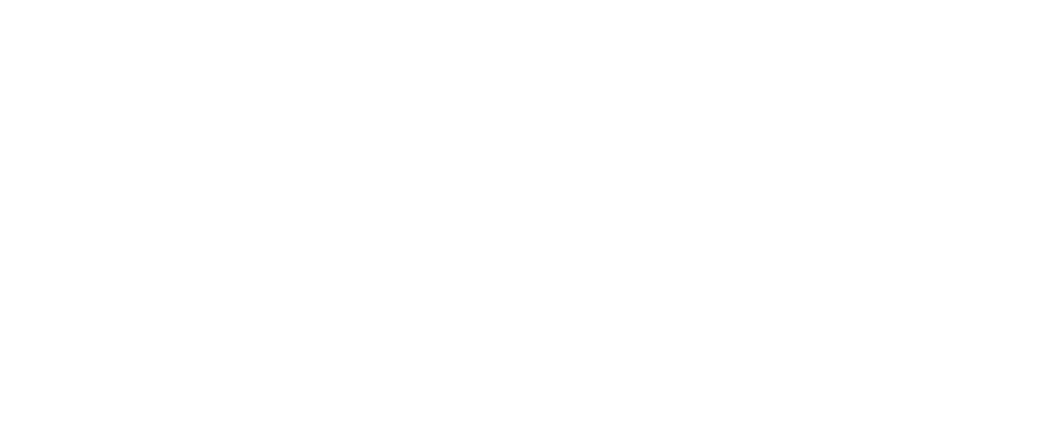 Solu'fret Express